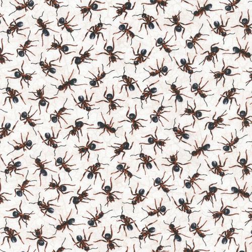 You Bug Me! Ants - 640